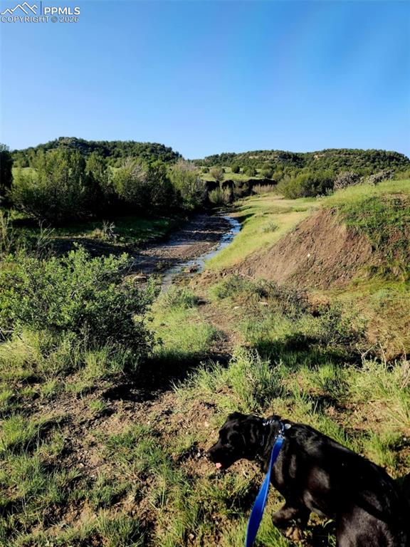 7480 Red Creek Springs Road Pueblo CO 81005