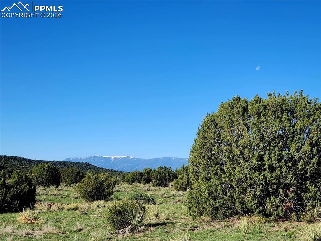 7480 Red Creek Springs Road Pueblo CO 81005