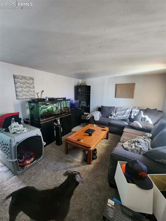 24405 Handle Road Calhan CO 80808