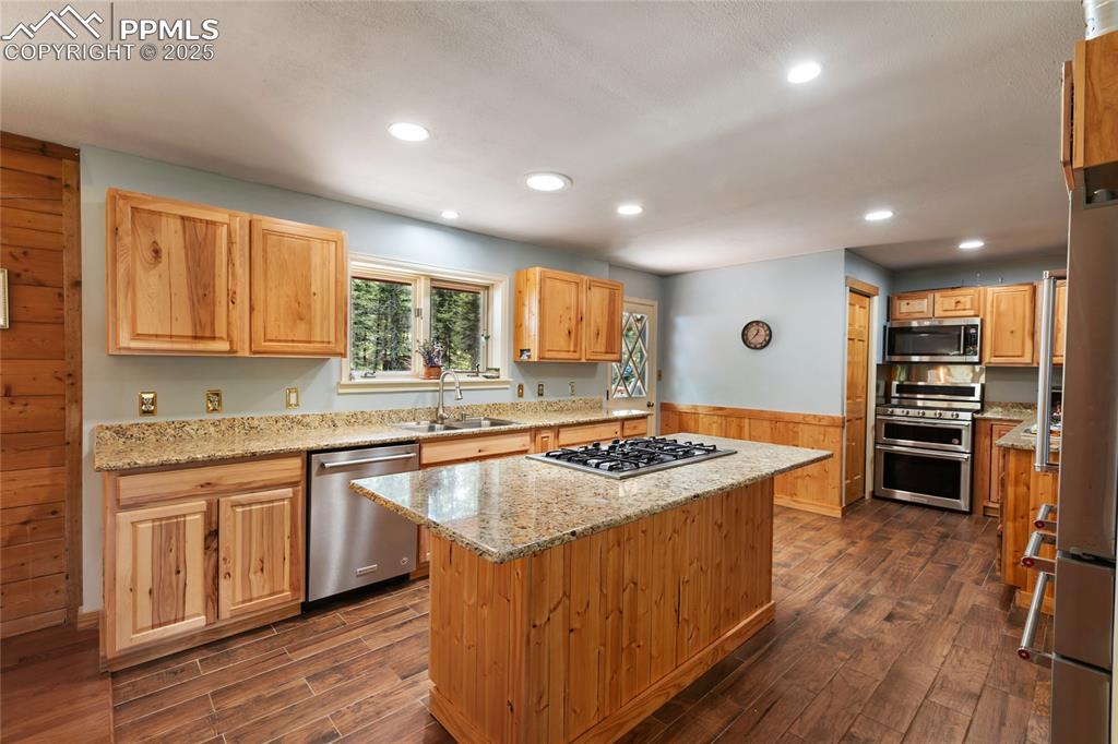 56 Blue Jay Lane Divide CO 80814