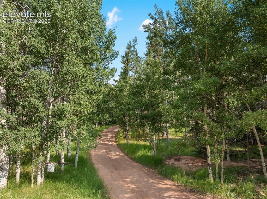 56 Blue Jay Lane Divide CO 80814