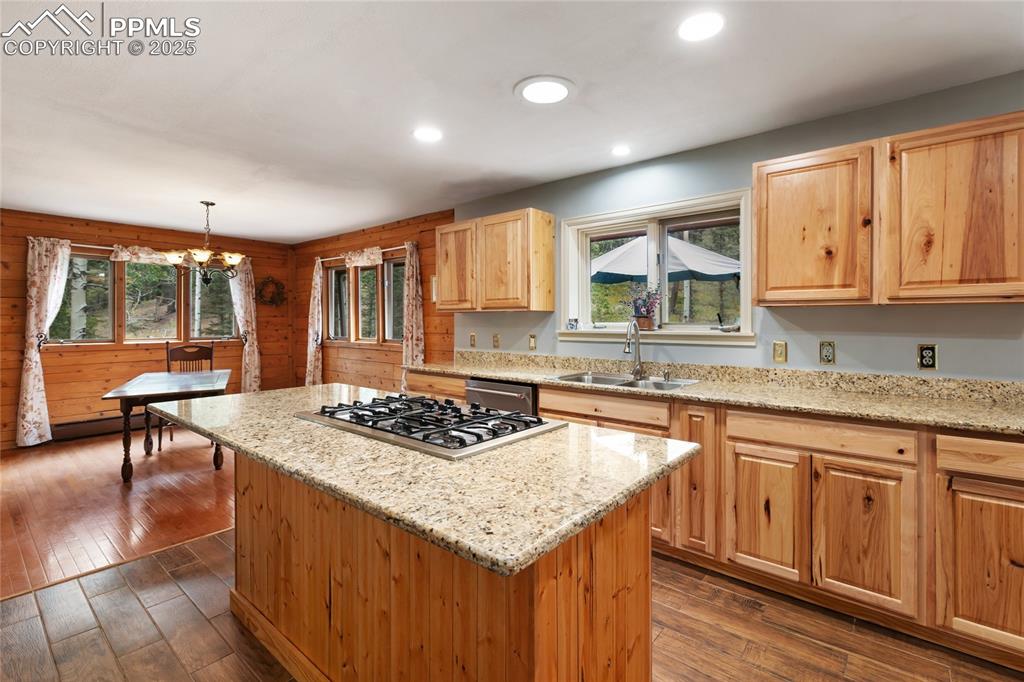 56 Blue Jay Lane Divide CO 80814