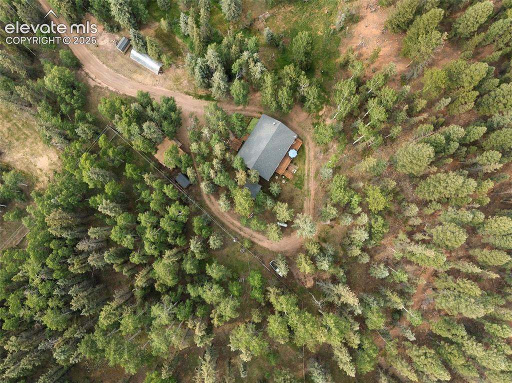 56 Blue Jay Lane Divide CO 80814