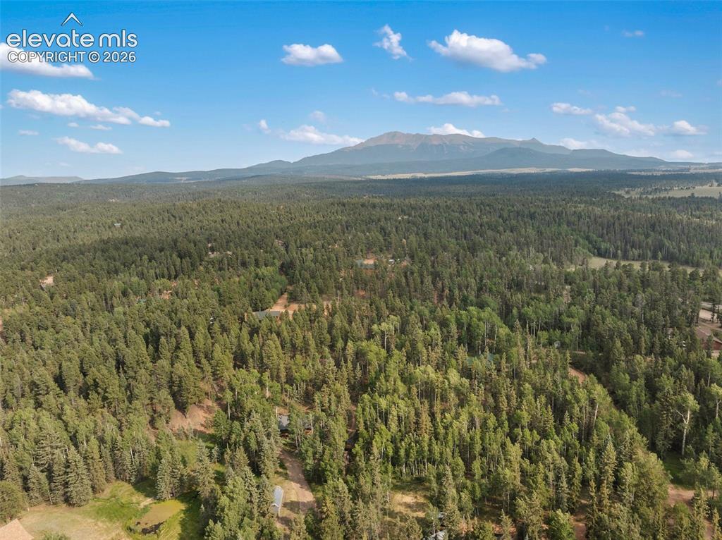 56 Blue Jay Lane Divide CO 80814