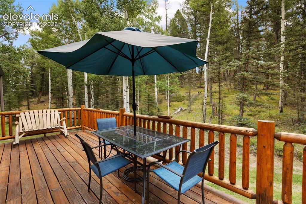 56 Blue Jay Lane Divide CO 80814