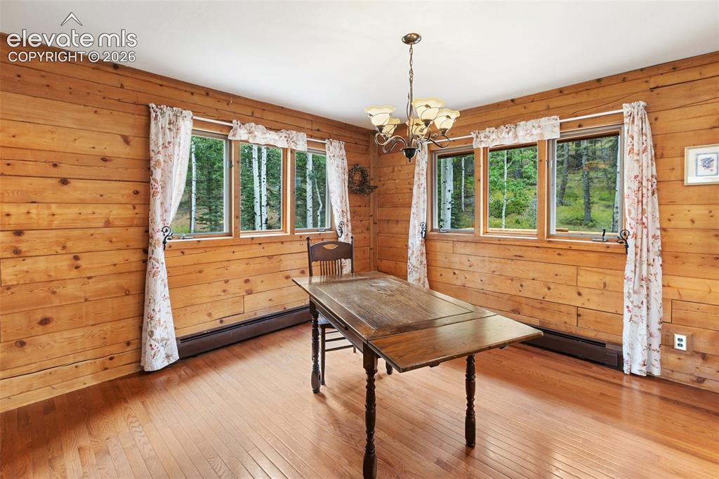56 Blue Jay Lane Divide CO 80814