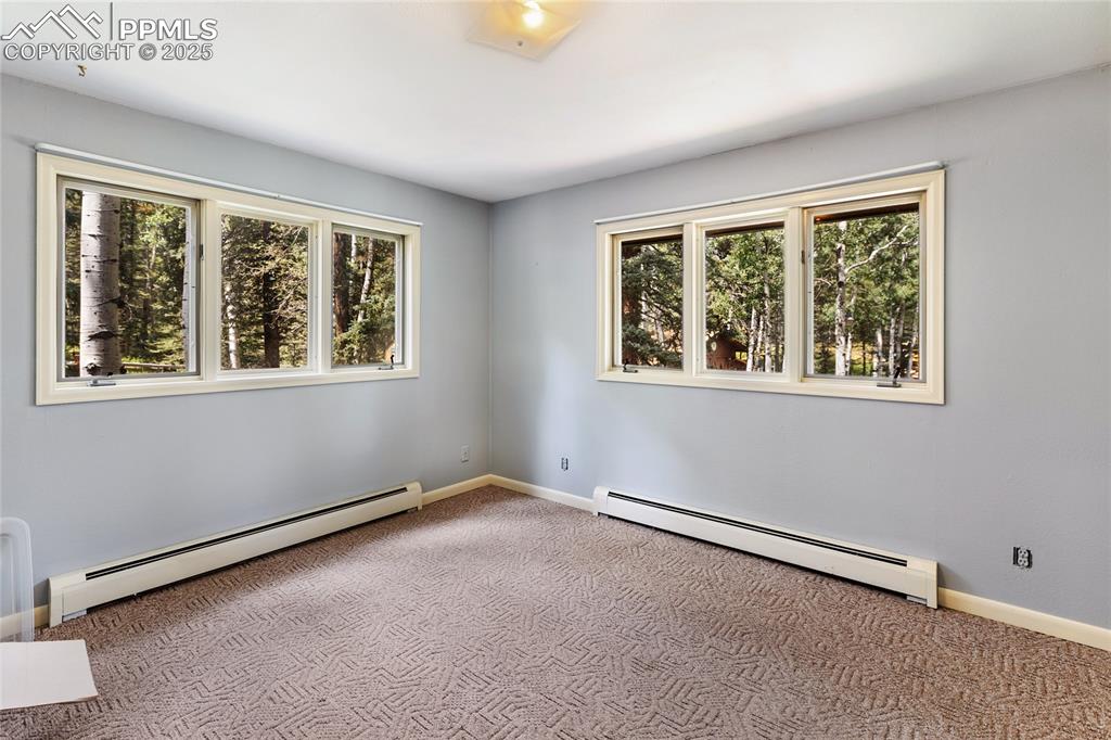 56 Blue Jay Lane Divide CO 80814