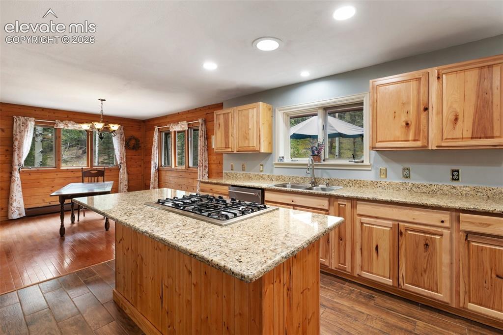 56 Blue Jay Lane Divide CO 80814