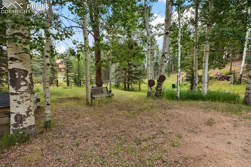 56 Blue Jay Lane Divide CO 80814