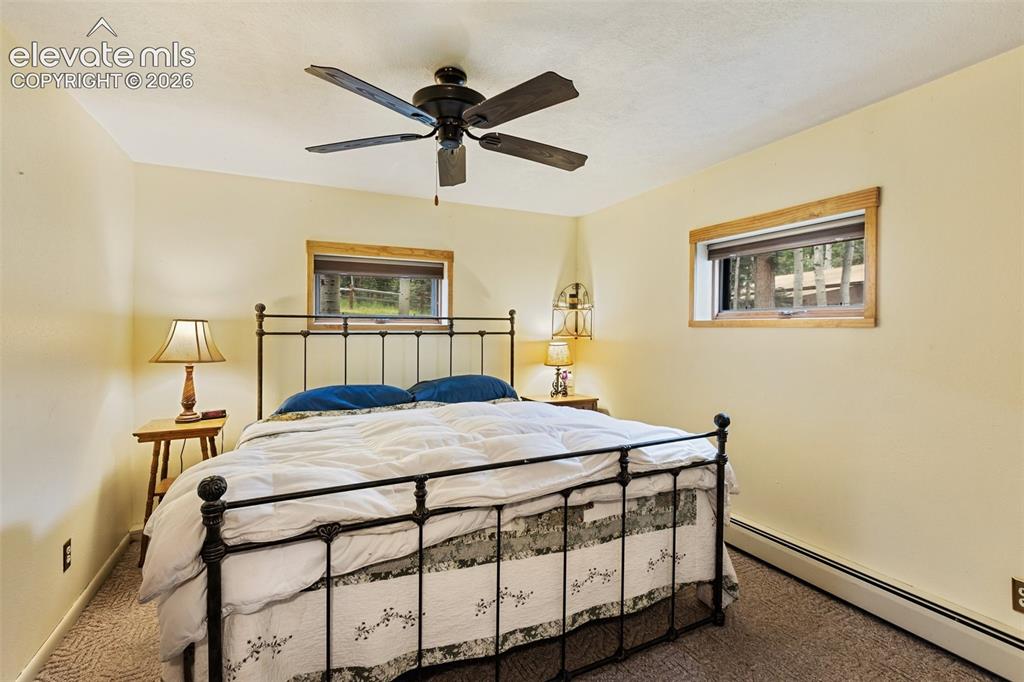 56 Blue Jay Lane Divide CO 80814