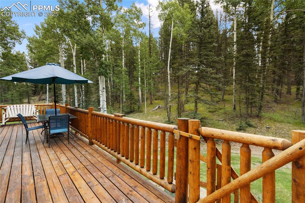 56 Blue Jay Lane Divide CO 80814
