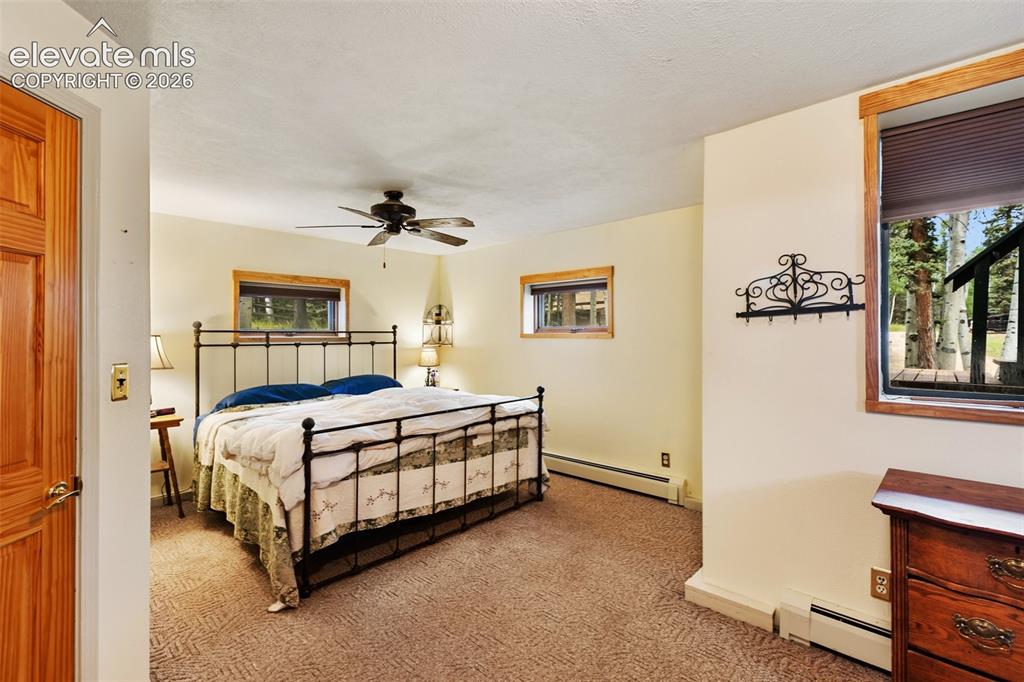 56 Blue Jay Lane Divide CO 80814
