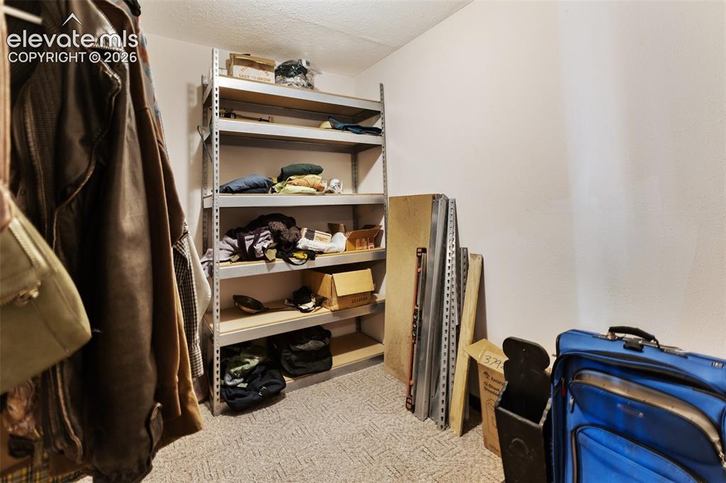 56 Blue Jay Lane Divide CO 80814