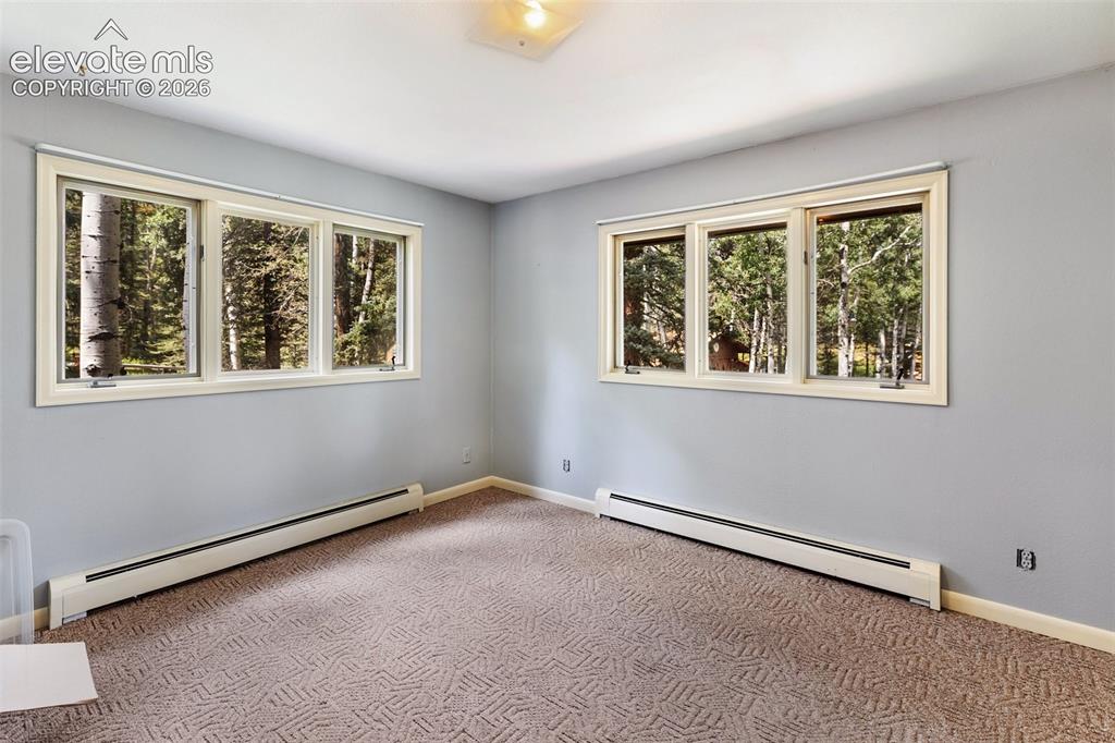 56 Blue Jay Lane Divide CO 80814