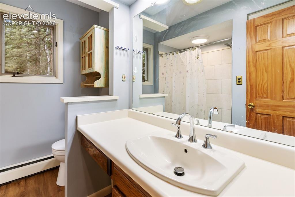 56 Blue Jay Lane Divide CO 80814