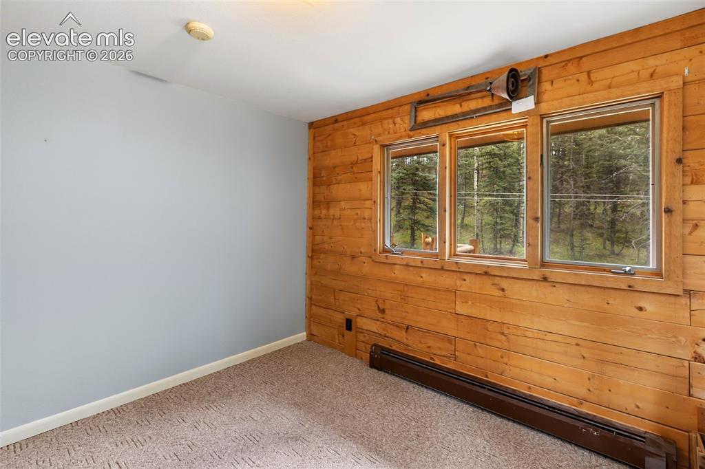 56 Blue Jay Lane Divide CO 80814