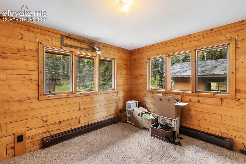 56 Blue Jay Lane Divide CO 80814