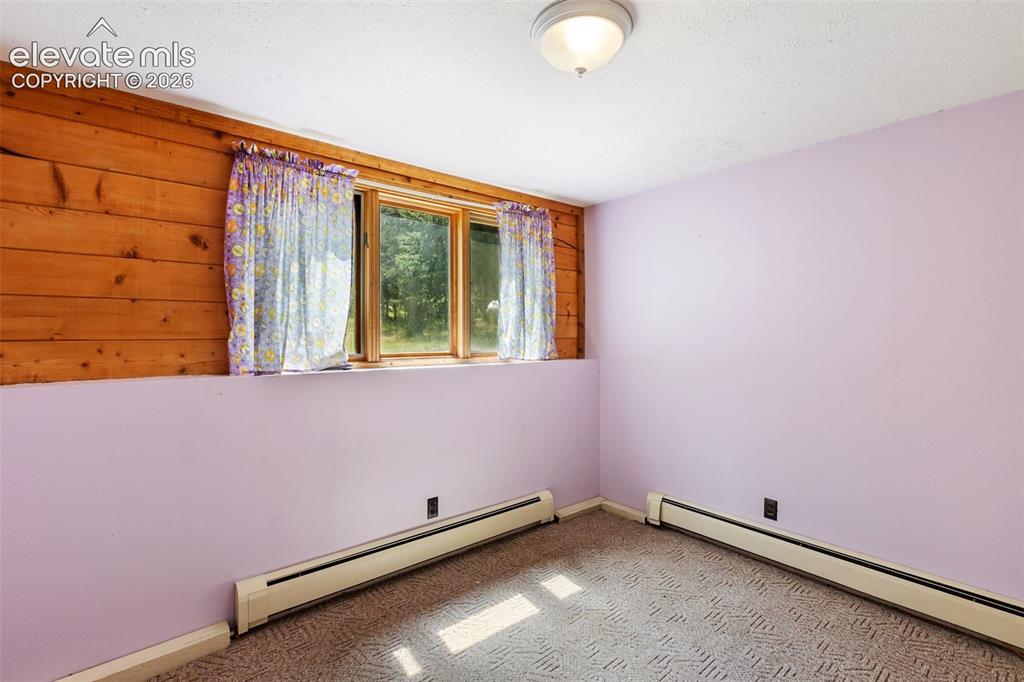 56 Blue Jay Lane Divide CO 80814