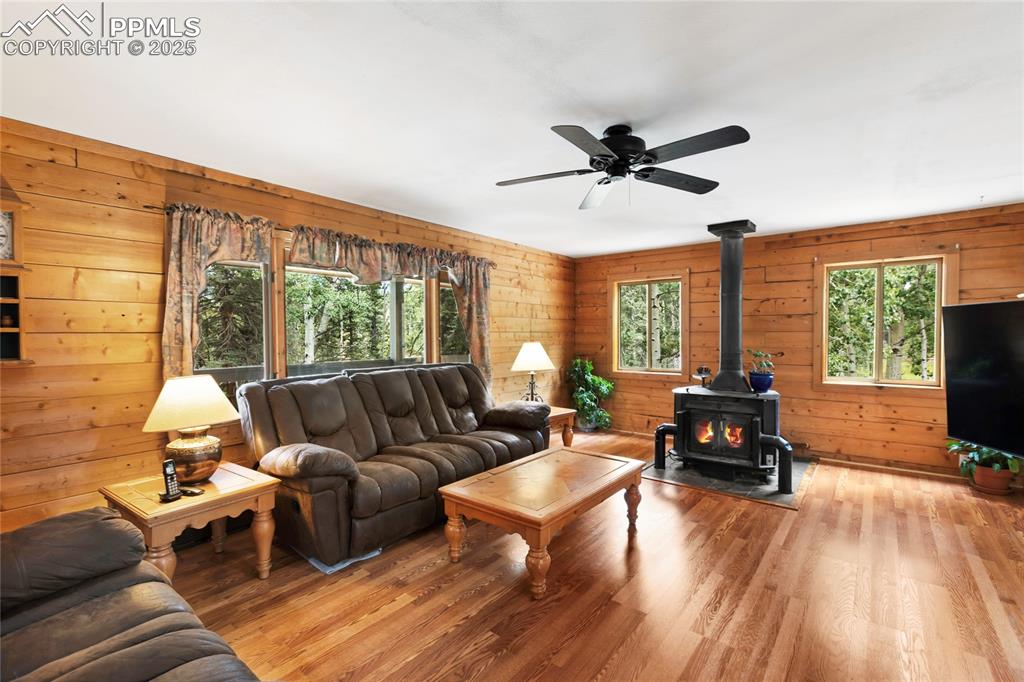 56 Blue Jay Lane Divide CO 80814