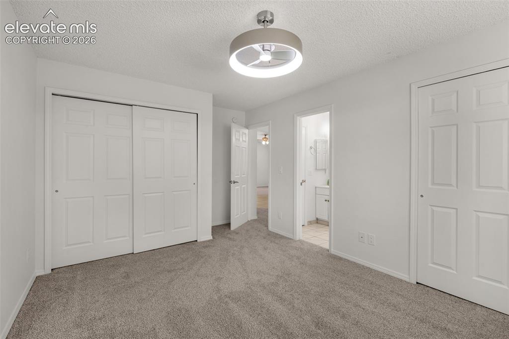 5565 Alma Terrace Colorado Springs CO 80917