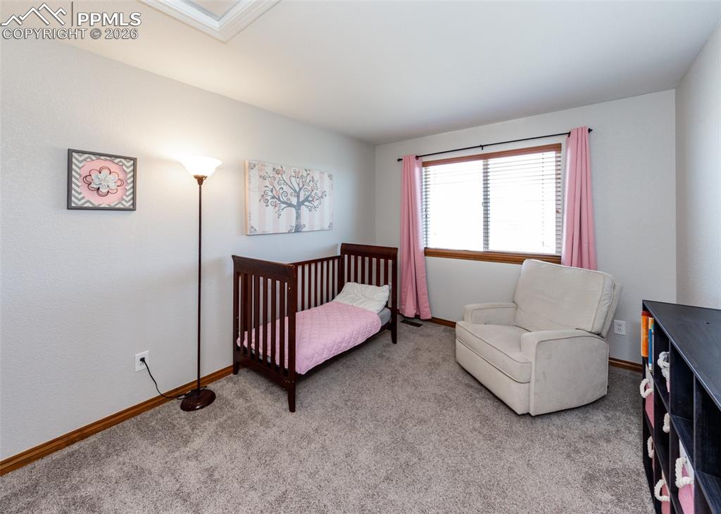 8307 Shadow Run Lane Fountain CO 80817