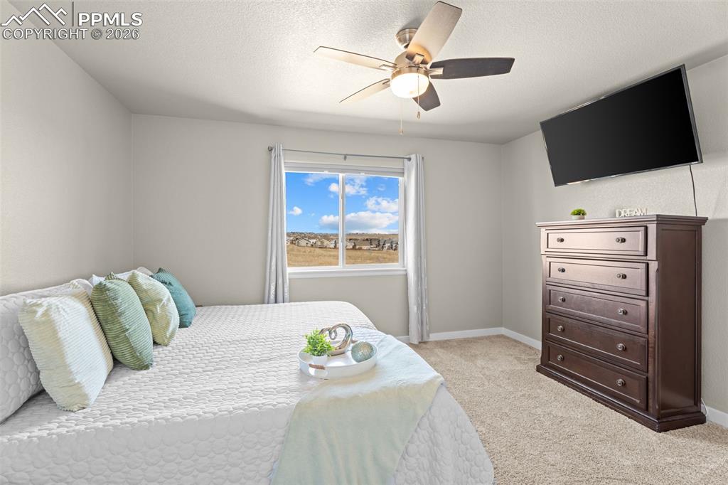 7502 Willow Pines Place Fountain CO 80817