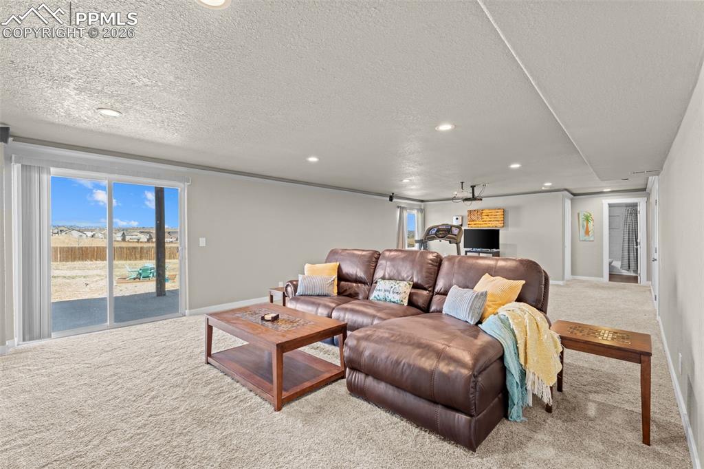 7502 Willow Pines Place Fountain CO 80817