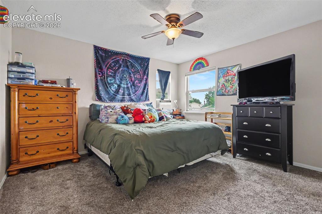 4520 Hollyridge Drive Colorado Springs CO 80916
