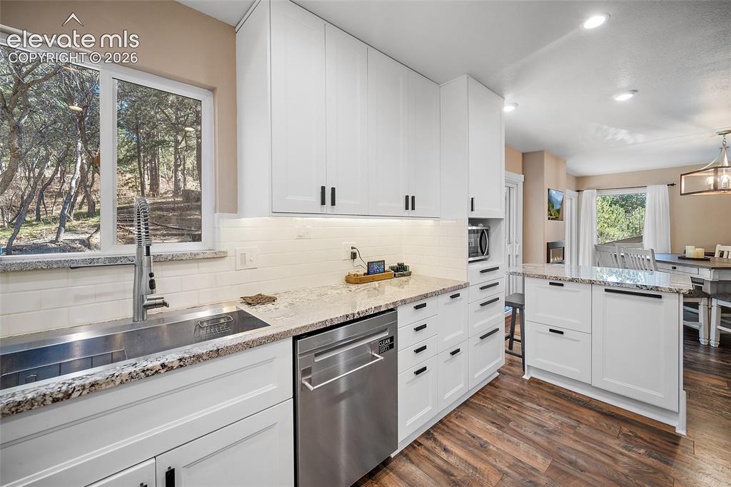 1010 S Park Drive Monument CO 80132