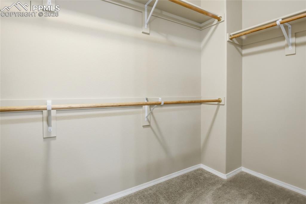 7031 Thorn Brush Way Colorado Springs CO 80923