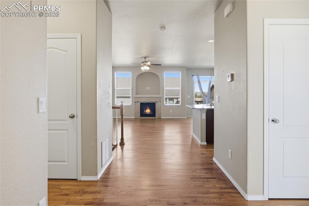 7031 Thorn Brush Way Colorado Springs CO 80923