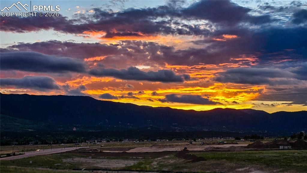 16870 Roaming Elk Drive Monument CO 80132