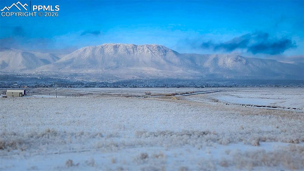 16870 Roaming Elk Drive Monument CO 80132