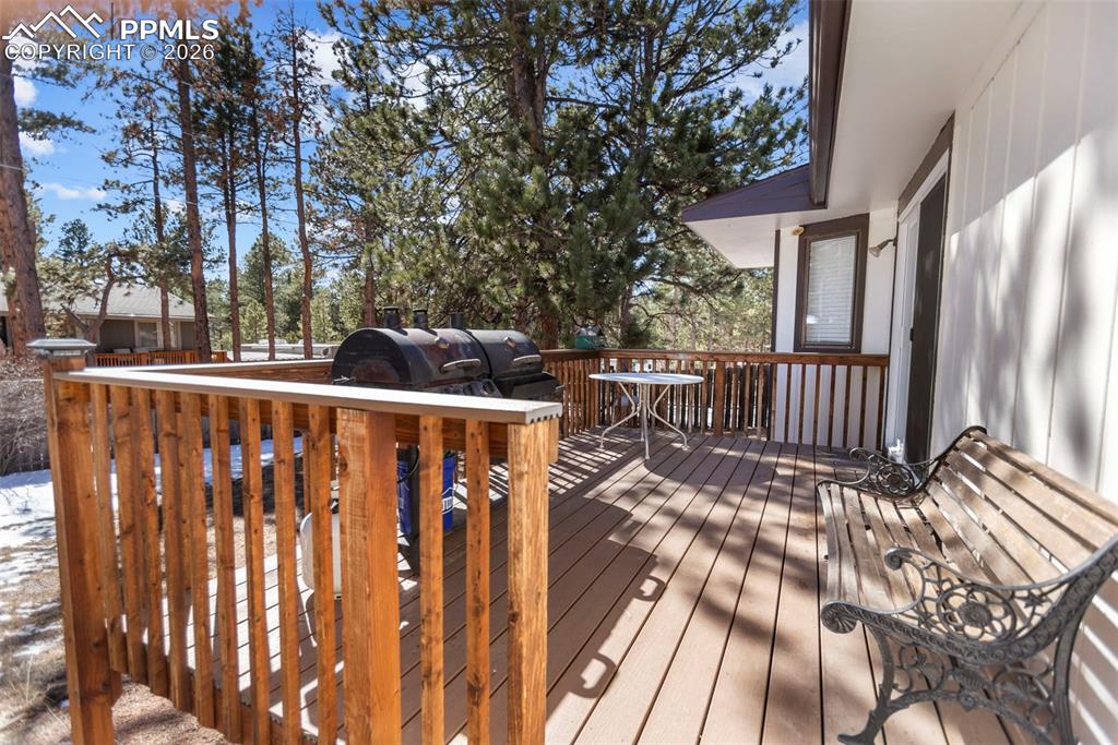 685 Sunnywood Loop Woodland Park CO 80863
