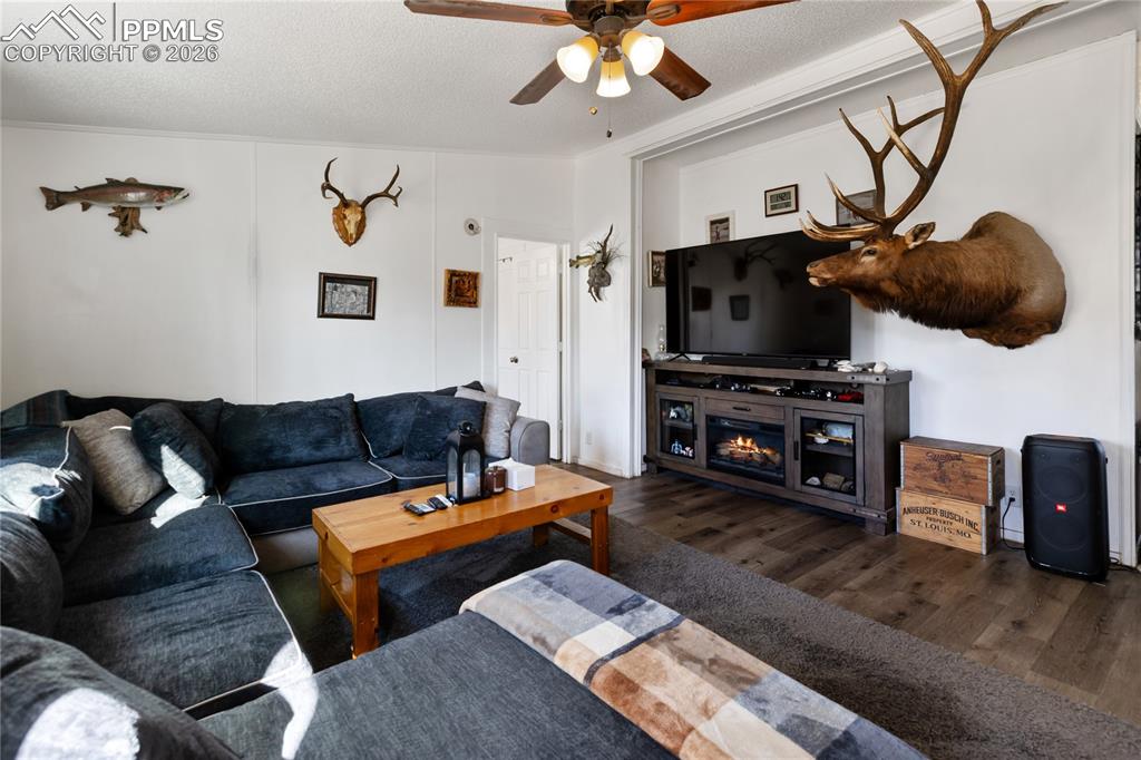 311 W Eaton Avenue Cripple Creek CO 80813