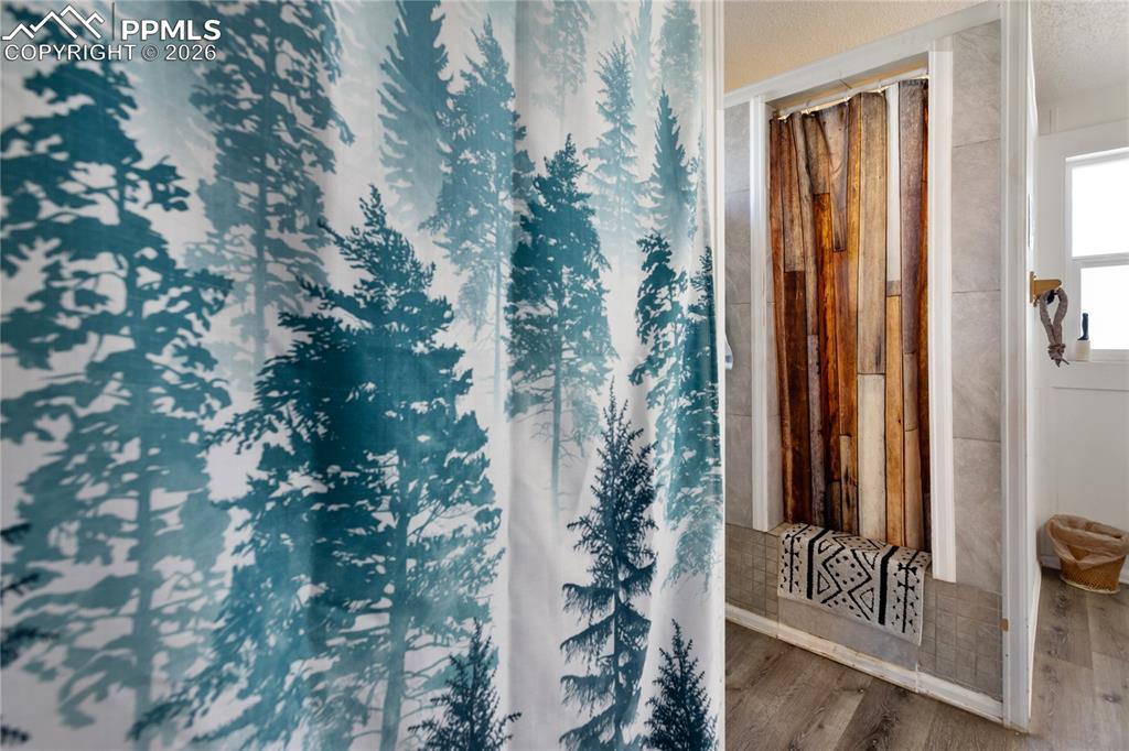 311 W Eaton Avenue Cripple Creek CO 80813