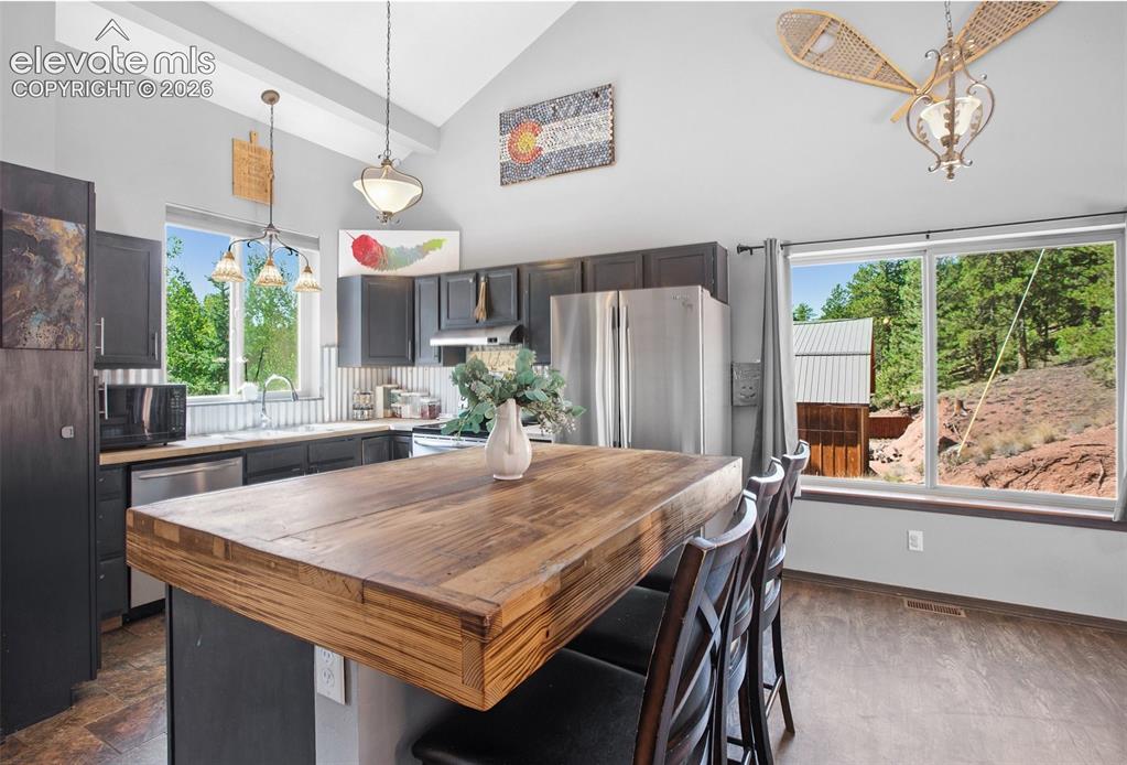 181 Valley Lane Woodland Park CO 80863
