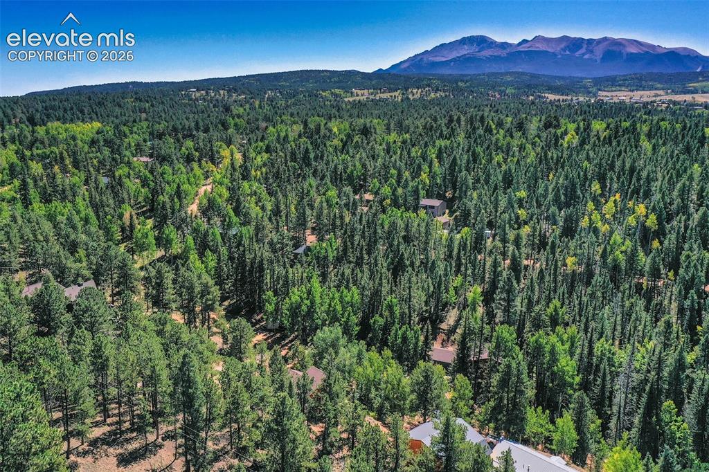 181 Valley Lane Woodland Park CO 80863