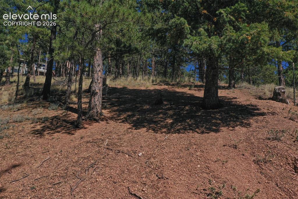 181 Valley Lane Woodland Park CO 80863