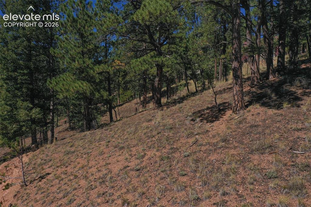 181 Valley Lane Woodland Park CO 80863