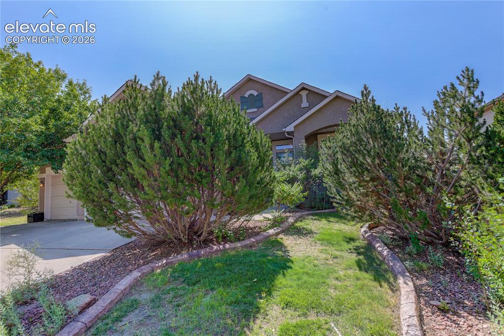 9923 Red Sage Drive Colorado Springs CO 80920