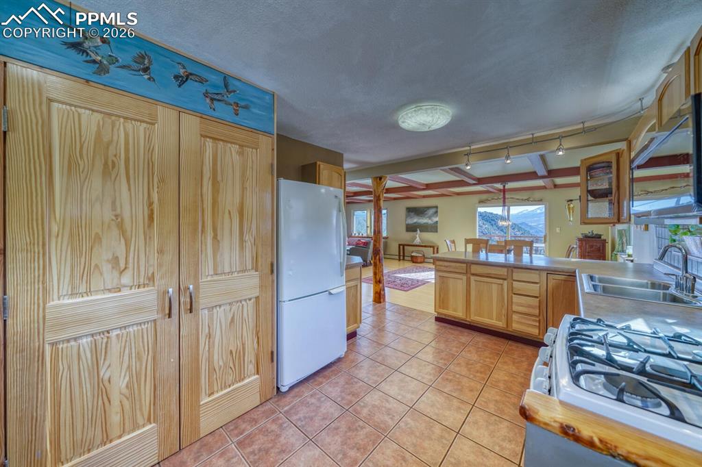 4351 County Road 12 Cotopaxi CO 81223