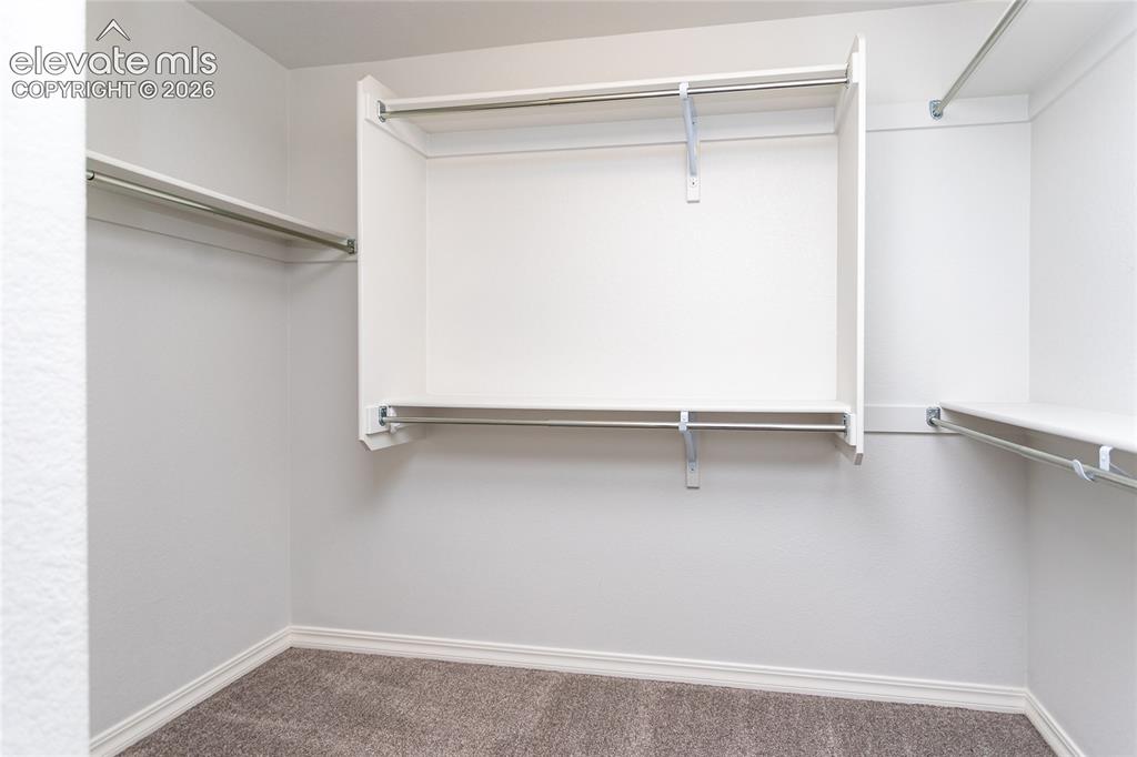 10147 Barbour Fork Court Colorado Springs CO 80924