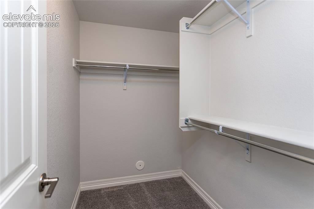 10147 Barbour Fork Court Colorado Springs CO 80924