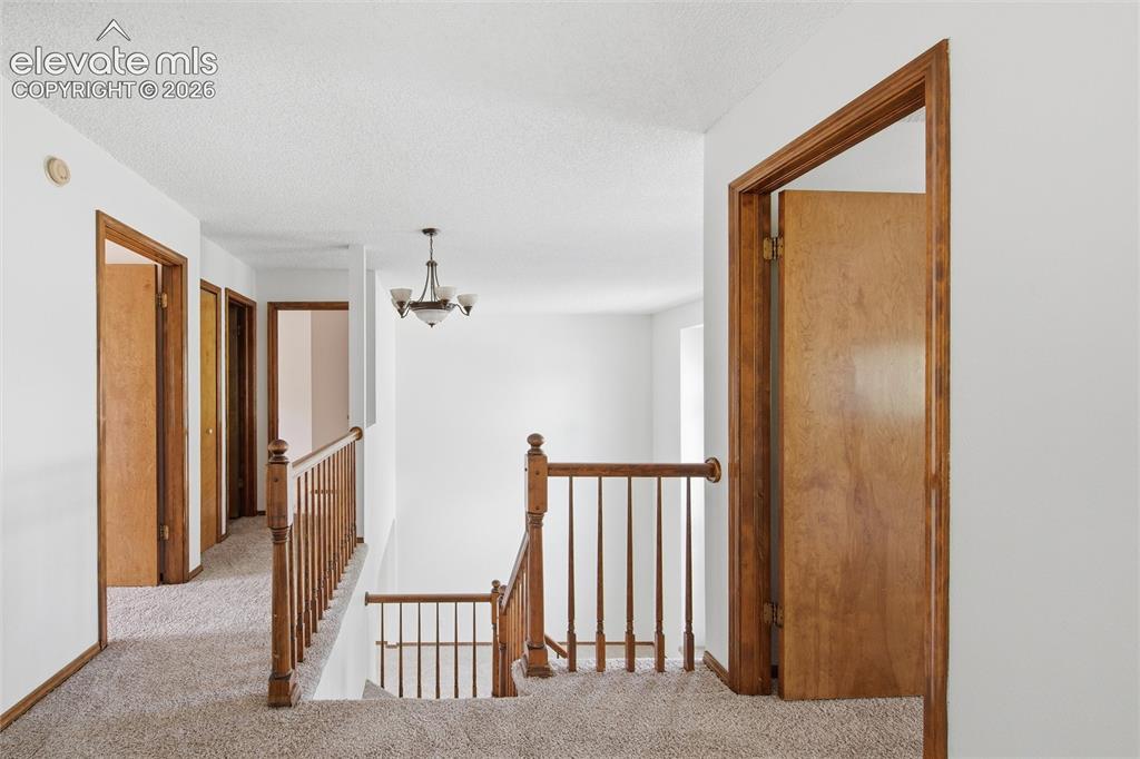 7407 Montarbor Drive Colorado Springs CO 80918
