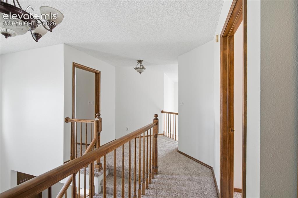 7407 Montarbor Drive Colorado Springs CO 80918