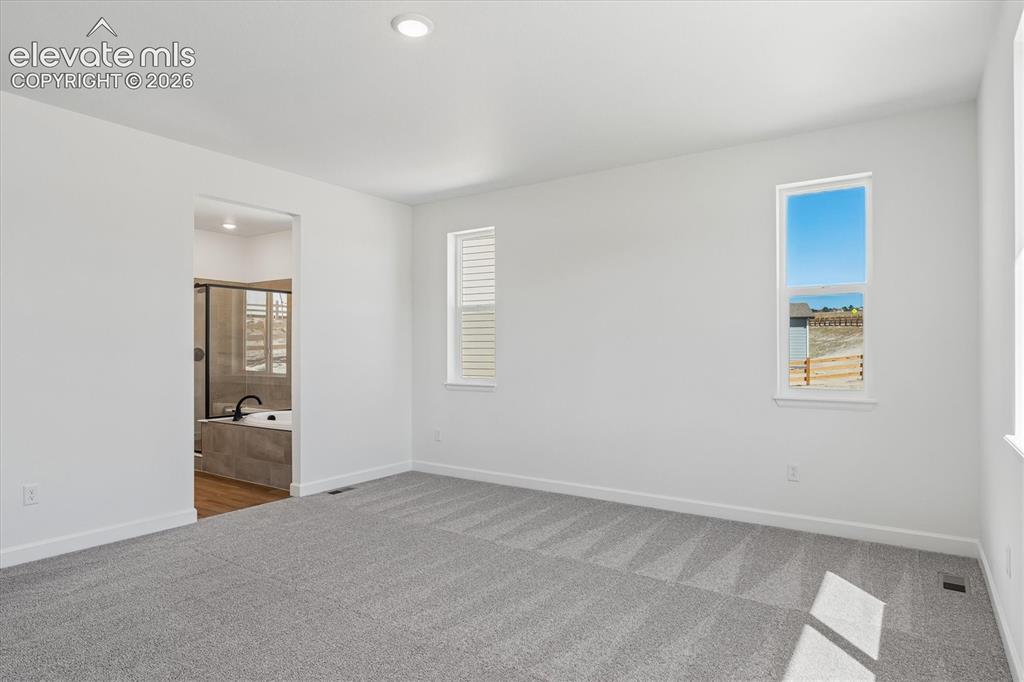 16757 Starfall Drive Monument CO 80132