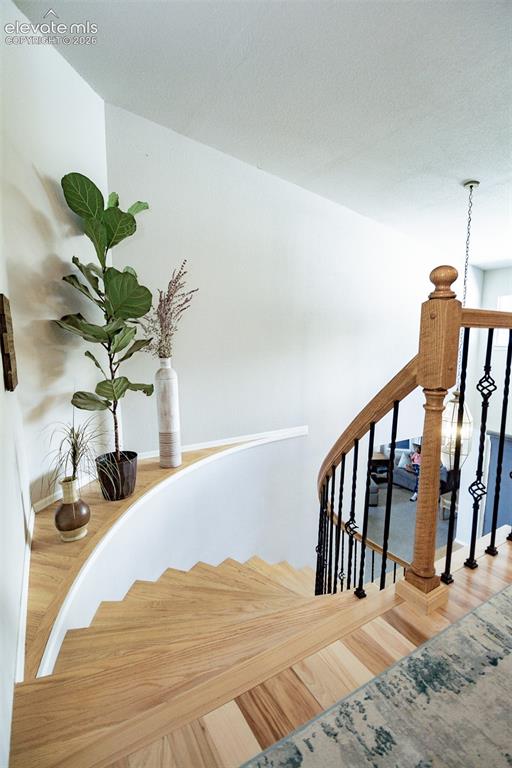 2224 Ramsgate Terrace Colorado Springs CO 80919