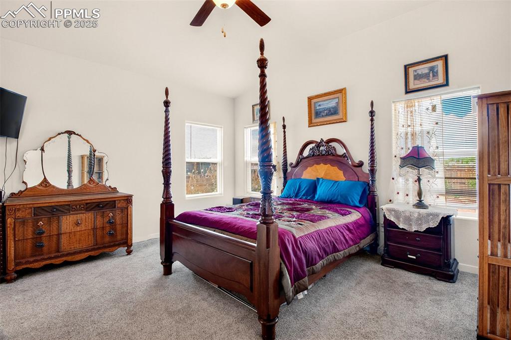 8746 Bittercress Drive Colorado Springs CO 80925