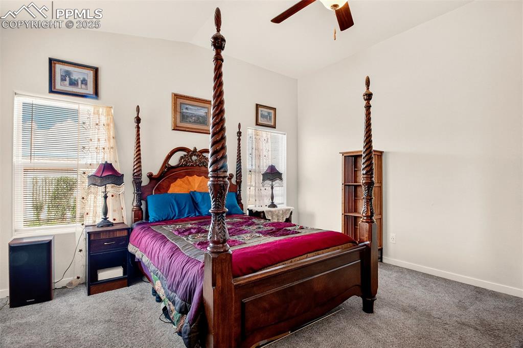 8746 Bittercress Drive Colorado Springs CO 80925